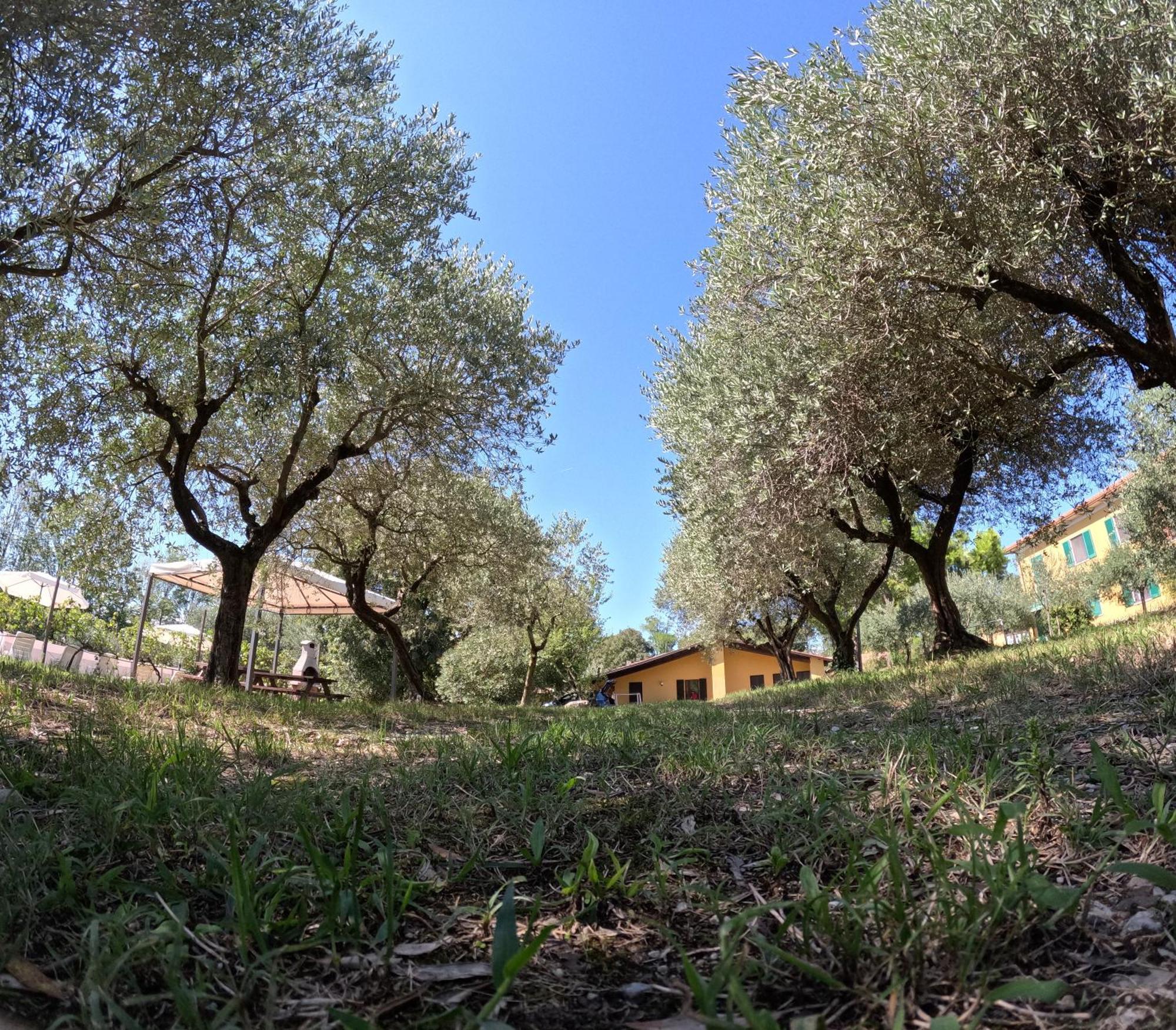 Agriturismo Gardenali فولتا مانتوفانا الغرفة الصورة