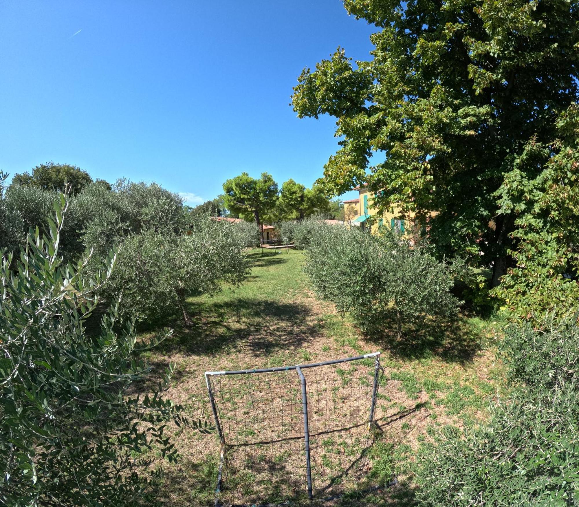 Agriturismo Gardenali فولتا مانتوفانا المظهر الخارجي الصورة