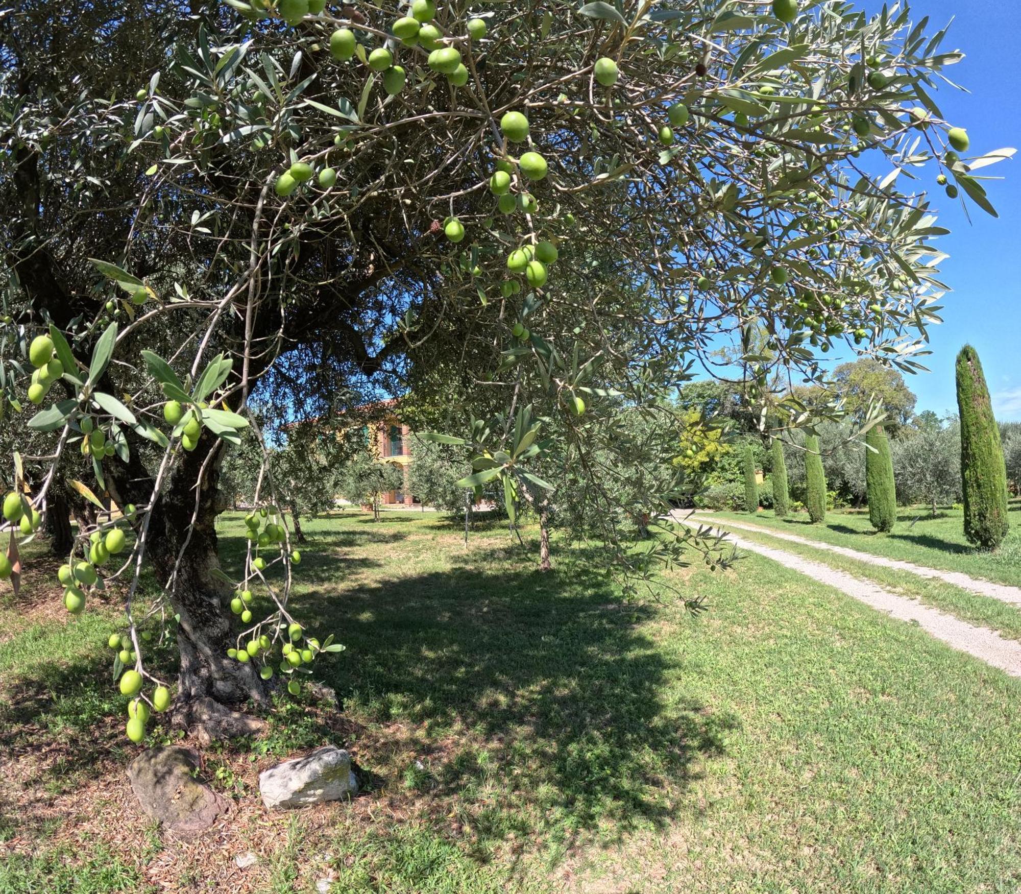 Agriturismo Gardenali فولتا مانتوفانا المظهر الخارجي الصورة