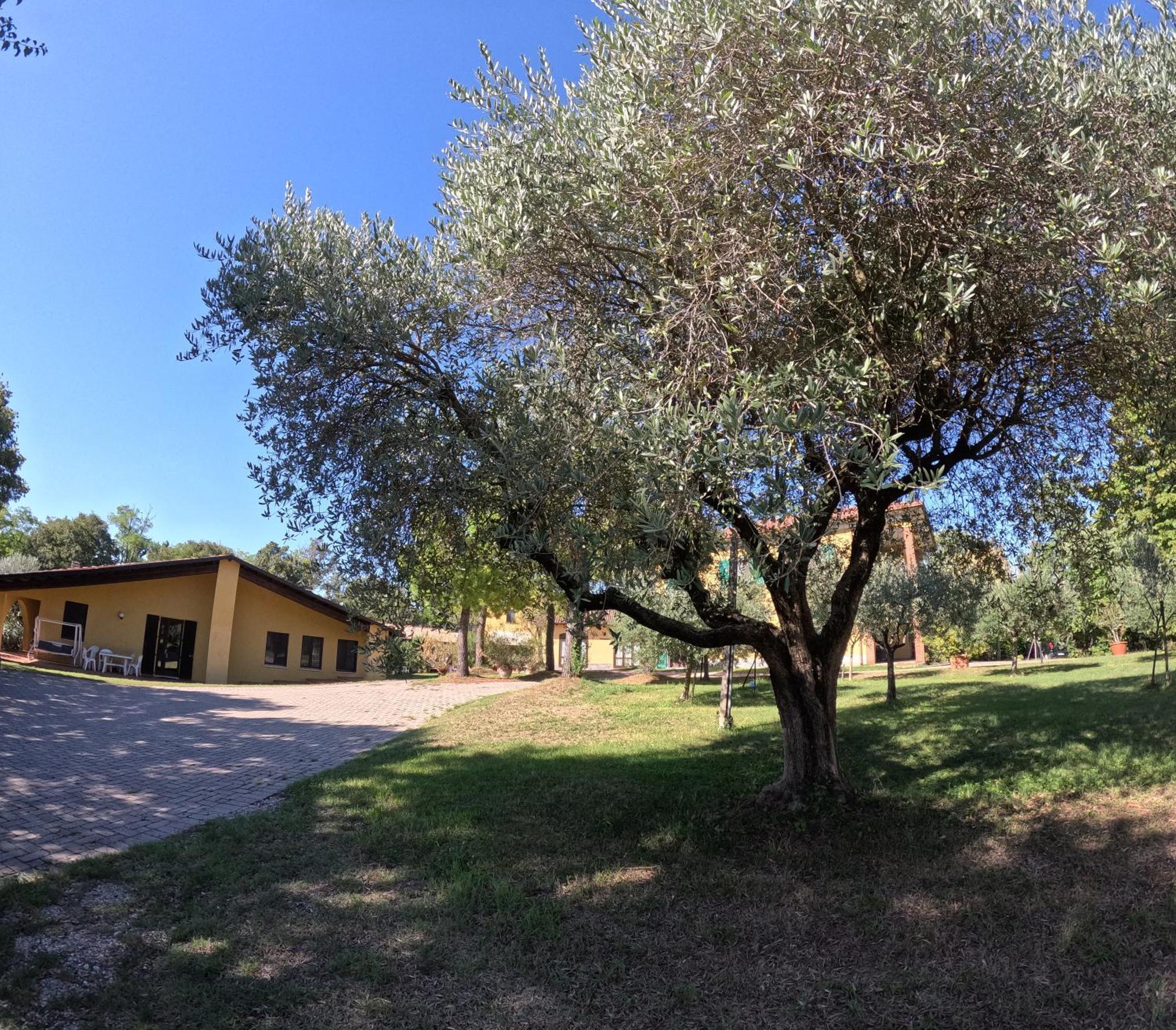 Agriturismo Gardenali فولتا مانتوفانا المظهر الخارجي الصورة