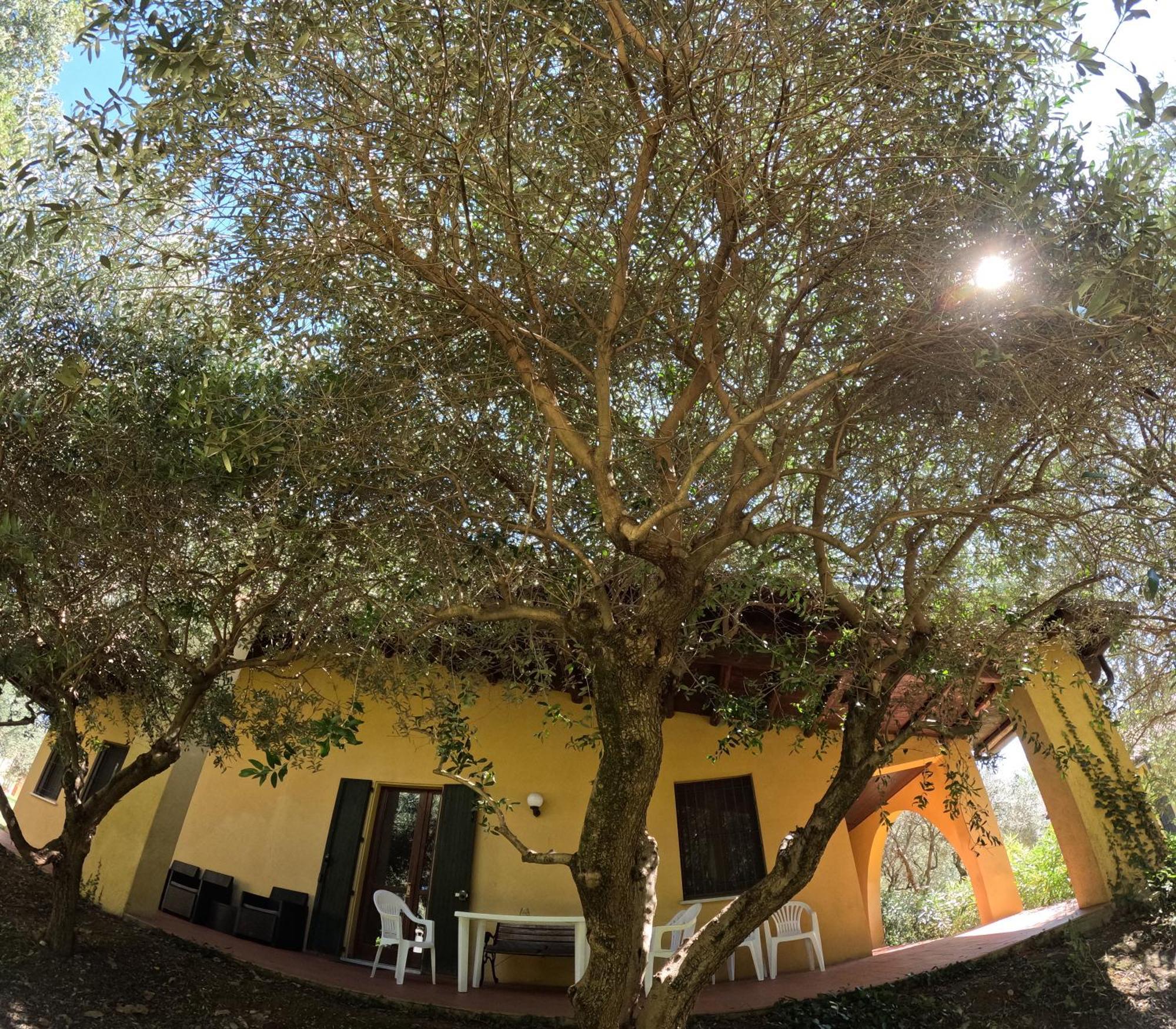 Agriturismo Gardenali فولتا مانتوفانا الغرفة الصورة
